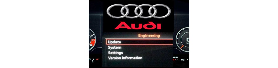 AUDI FIRMWARE