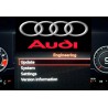 AUDI FIRMWARE