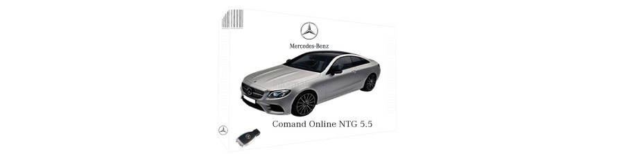 NTG5.5 Comand Online