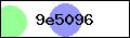 Beveiligingscode